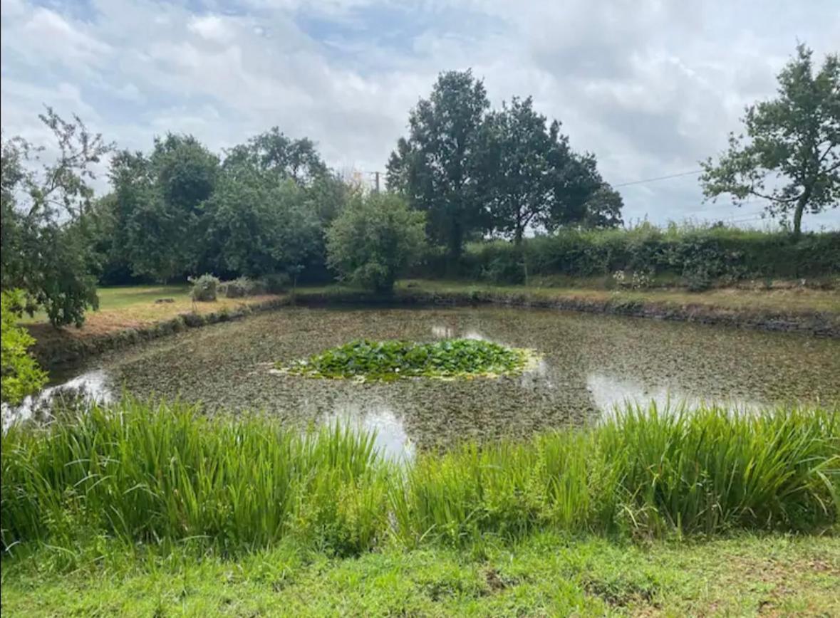 Loire Le Grand Brandonneヴィラ エクステリア 写真